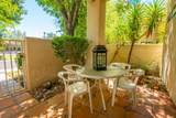 28859 Desert Princess Drive - Photo 5
