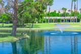 29118 Desert Princess Drive - Photo 21