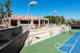 29118 Desert Princess Drive - Photo 26