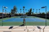 29118 Desert Princess Drive - Photo 27