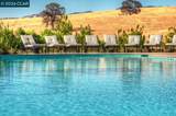 1613 California Trl - Photo 50