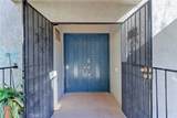 2395 Via Mariposa - Photo 47