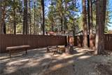 42676 La Placida - Photo 33