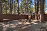 42676 La Placida - Photo 34
