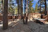 42676 La Placida - Photo 46