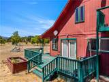 2225 Ladder Ridge Road - Photo 33