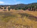 2225 Ladder Ridge Road - Photo 49