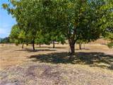 2225 Ladder Ridge Road - Photo 51
