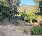 2846 Willow Glen Drive - Photo 56