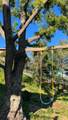 2846 Willow Glen Drive - Photo 57