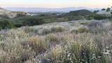 2 Coya Trail - Photo 4