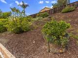 39815 Highbury Drive - Photo 48