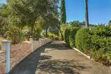 1051 Via Rancho Parkway - Photo 68