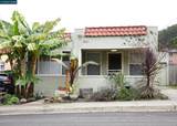 228 Arreba St. - Photo 1