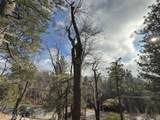 33058 Juniper Lane - Photo 21