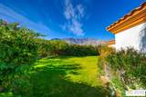 1019 Andreas Palms Drive - Photo 41