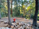 22166 Crestline - Photo 47