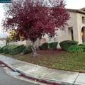 2096 Goldpine Way - Photo 5
