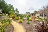 879 Wigeon Way - Photo 36