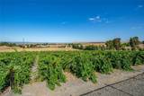 6172 Hawk Ridge Place - Photo 16