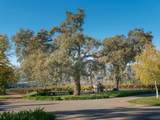 20300 Cachagua Road - Photo 13