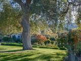 20300 Cachagua Road - Photo 17