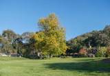20300 Cachagua Road - Photo 19