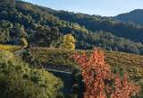 20300 Cachagua Road - Photo 20
