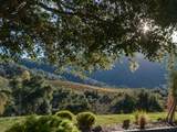 20300 Cachagua Road - Photo 24