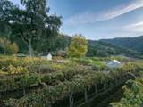 20300 Cachagua Road - Photo 27