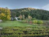 20300 Cachagua Road - Photo 28