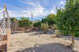 2764 Petit Street - Photo 46