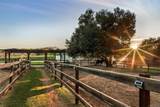 15336 Mesa Estates Ct - Photo 32