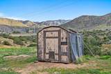 32301 Angeles Forest - Photo 16