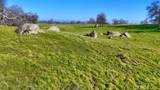 0 103.8 AC Highway 41 - Photo 8