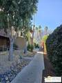470 Calle Encilia - Photo 34