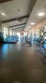 6641 Eucalyptus - Photo 14