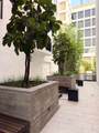 1234 Wilshire - Photo 36