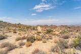 15 Desert Calico Way - Photo 10