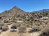 15 Desert Calico Way - Photo 5