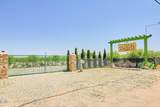34738 Old Woman Springs Road - Photo 1