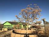 34738 Old Woman Springs Road - Photo 9