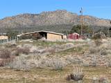 69850 Burlwood - Photo 3