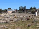 69850 Burlwood - Photo 4