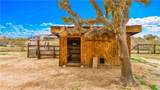4442 Bonita - Photo 50