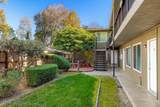 505 Brizzolara Street - Photo 10