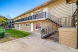 505 Brizzolara Street - Photo 11
