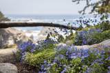  Spindrift Road - Photo 96