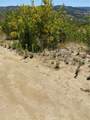 5 De Anza Road - Photo 19