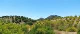 5 De Anza Road - Photo 30
